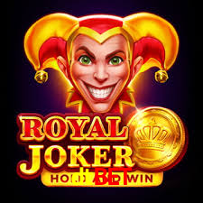 Daily Bonuses dtbet